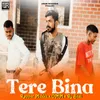 About Tere Bina Song